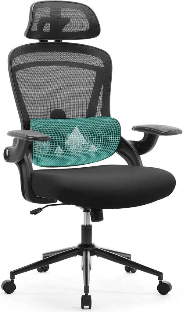 Ergonomic Mesh Office Chair, High Back Desk Chair with 2D Headrest, Up&Down Lumbar Support, Swivel Computer Task Chair with Adjustable Flip-up Armrests, Black